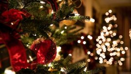 Elevate Your Christmas Decor With Hoselink Solar Lights