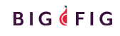 Big Fig Mattress Coupon Codes