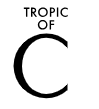 tropic of c Coupon Codes